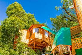Treehouse Stays Kashmir