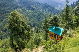 Treehouse Stays Kashmir
