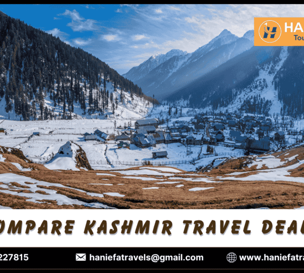 Compare Kashmir travel deals