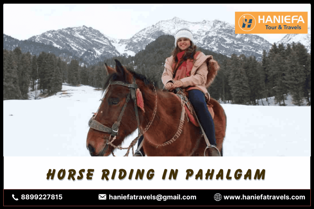 Horse Riding in Pahalgam