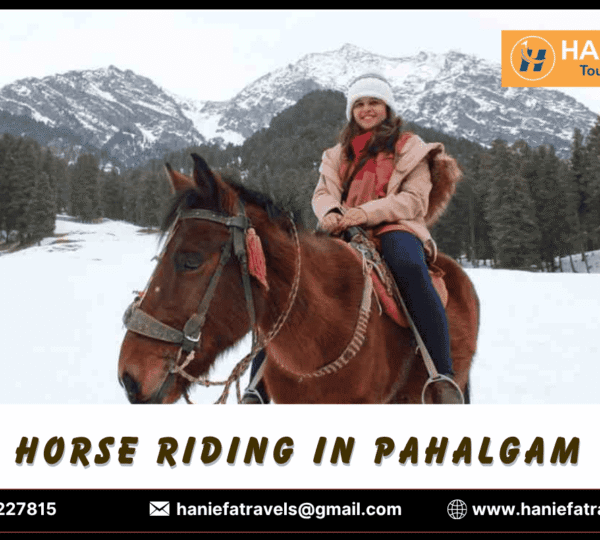 Horse Riding in Pahalgam