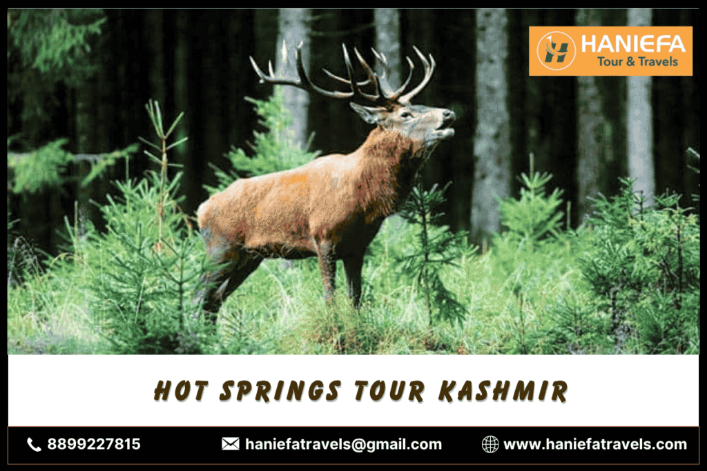 hot-springs-tour-kashmir