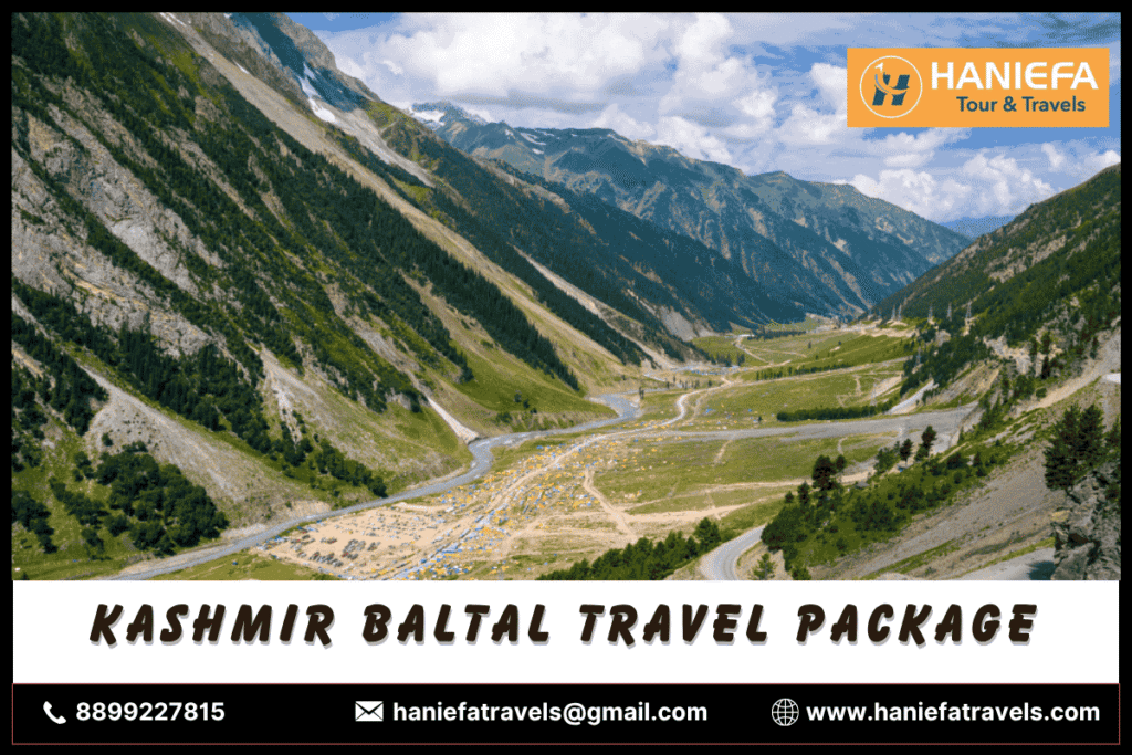 Kashmir Baltal travel package