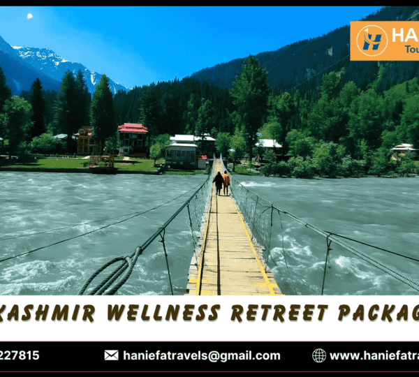 Kashmir Wellness Retreat Package