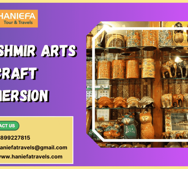 Kashmir arts and craft immersion