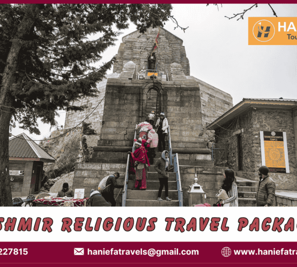 Kashmir religious travel packages