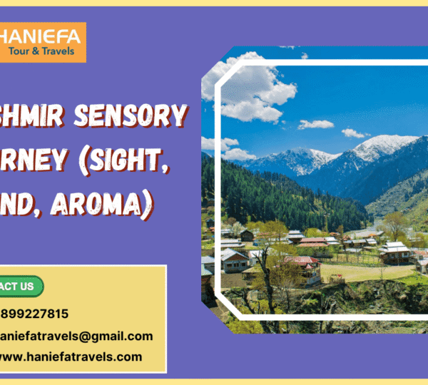 Kashmir sensory journey