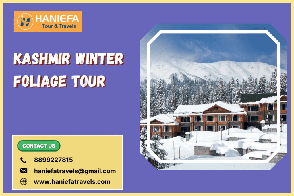 Kashmir winter foliage tour