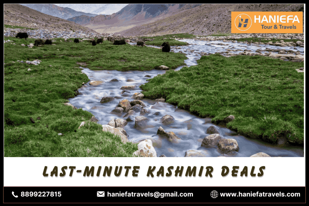 Last-minute Kashmir deals