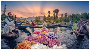 Floating Market Dal Lake Tour