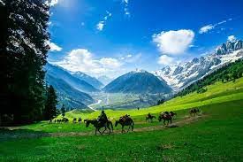 Horse Riding in Pahalgam