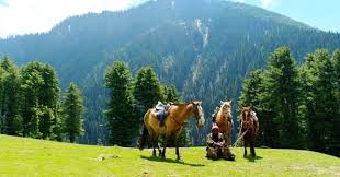 Horse Riding in Pahalgam