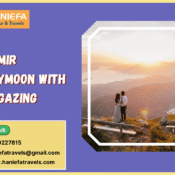 Kashmir honeymoon with stargazing