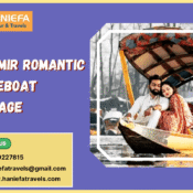 Kashmir romantic houseboat package